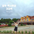 달랏 자유여행 달랏기차역 로부스타 커피나무 구경, 기차표는 미리미리 구매 입장료 및 주변 맛집 공유