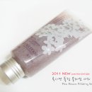 플럼블라썸(Plum Blossom) 이미지