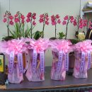 예천동부초등학교 이미지