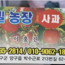 양구농장 이미지