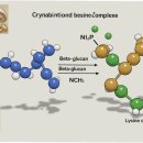 올바른약국 이미지