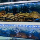 동해 싱싱수산 이미지