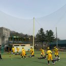 피아크 이미지