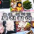 &lt;설악항 10호 포진활어&gt; 속초여행 내돈내산 속초횟집 바다를 보면서 회한점 캬