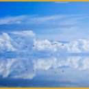 빛과 소금 이미지