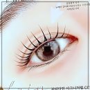 Feel뷰티 | 속눈썹 무너짐 방지템 찾았다! 뷰티다인에서 인생 경험함