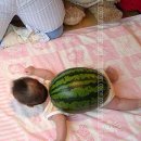 6568 Daum카페