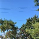 옥정목장 이미지