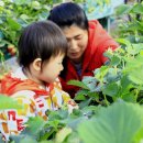 보민농장 이미지