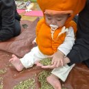 (집)씨스페이스 광명소하점 | [광명/소하]10개월 문화센터 트니트니오감올리 수강후기