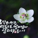 믿음 - 안산시 단원구 | 믿음