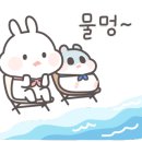 경주엘마르펜션 이미지