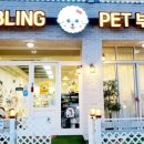 올블링 펫 부티끄 애견용품 이미지