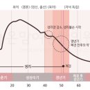 온맘여성한의원 부산덕천 네이버블로그