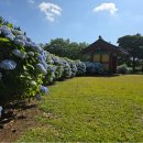 제주도청 이미지