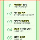 쓰리빠 | 급찐급빠 딱 맞는 다이어트보조제 GRN 쓰리데이즈 후기