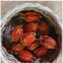 나를 찾아 떠나는 심리여행 | 광주심리상담 온전한 나를 찾아 떠나는 심리 여행