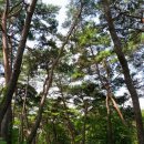 봉곡사 - 1669 | 봉곡사