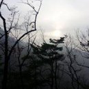 지빠 이미지
