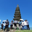 목계숲 1 이미지