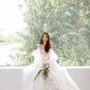디스튜디오 이미지