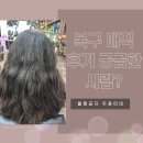 20년 악성곱슬! 노원 CHOP헤어 제이쌤 복구매직 결과는?