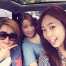 닭으로가 이미지