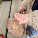 우리들어린이집 이미지