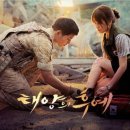 티시엠 이미지