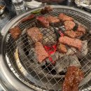 생명의 바다 1.1 이미지