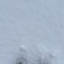 눈 오는 날엔 ❄️ | 더폴: 디렉터스 컷 후기