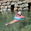 명가김밥천국(동천점) | 울산 종가돼지국밥, 전복명가, 서도밀면, 성서 한옥집...오시오막창, 동천물놀이터, 고집통, 울산 업...