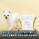 그루밍솔루션 개봉점 | 매일 하는 산책 후 뒷정리, 페피릴리프 바디티슈 하나로 삶의 질이 달라졌어요
