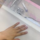 멜로소네일 이미지