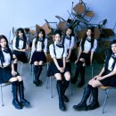 하트프리 이미지