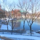 참새의 정원 이미지