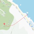 숲속의바다 바다동 이미지