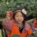 양우농장 이미지