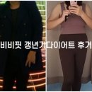 비비핏