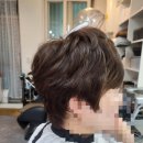 도봉-쌍문-도봉-1129 이미지