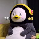 ❗저 됐어요... 19기 필긩이 됐어요!!!❗필모 모집 시작합니다🤩 이미지
