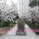 삼성뉴타운공인중개사사무소 이미지