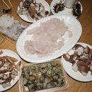 고호대박