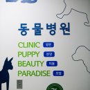 위즈펫동물병원 이미지