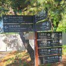 큐리온종합건설(주) | 뚜벅이 할미의 스물아홉 번째 발 도장 ㅣ 부여 부소산성 / 정림사지