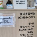 둘리동물병원 | [쌍문역]둘리 동물 병원 중성화 수술 후기♥