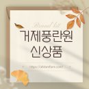 두엽농장 | ▶거제풍란원 신상품 소식(2024-09-03)