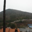 칠갑산자연휴양림 이미지