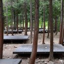 남해편백자연휴양림 이미지