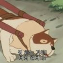 엔씨파크 이미지